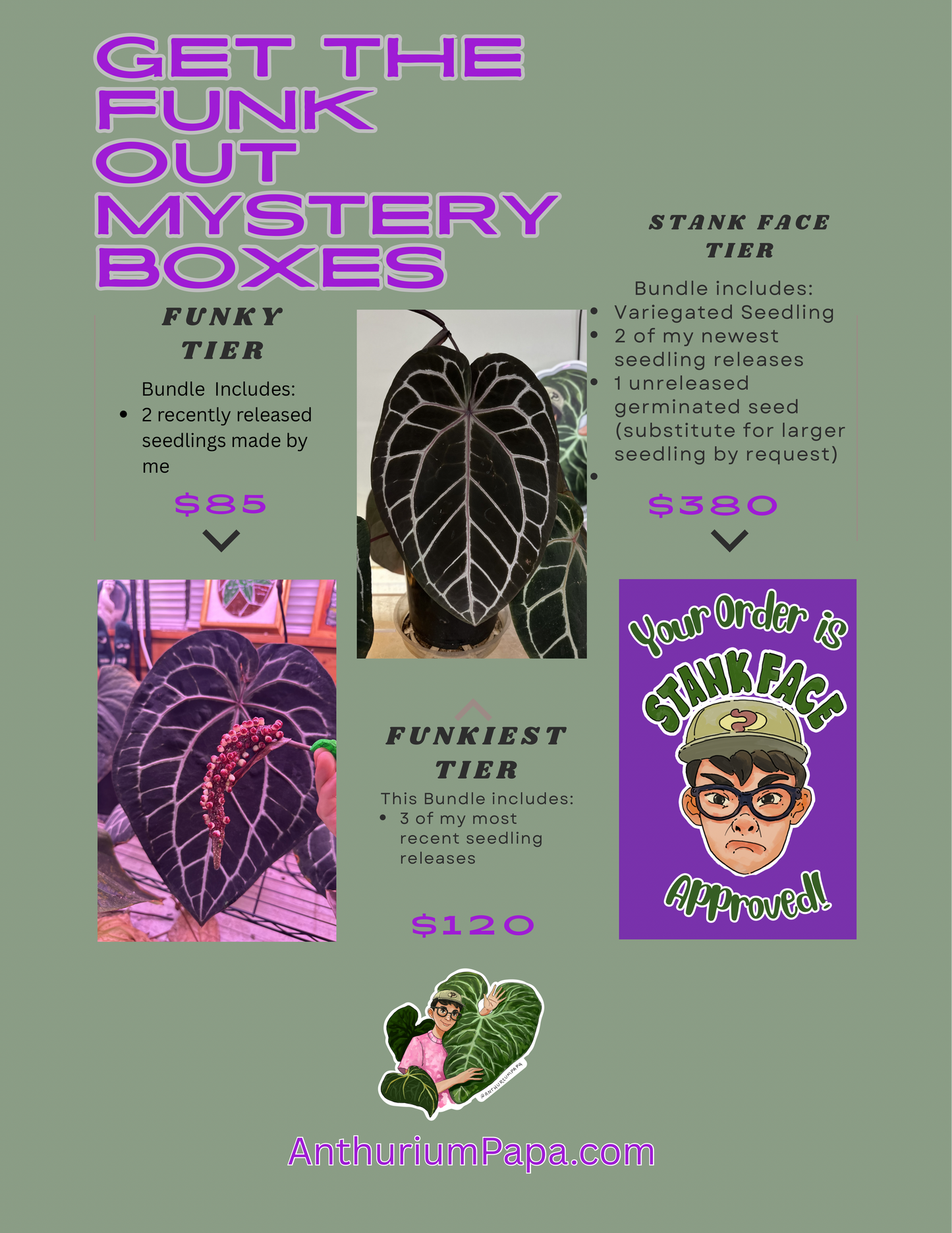 Funky Tier- Get the Funk Out Mystery Box